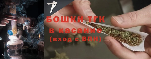 шишки Переславль-Залесский